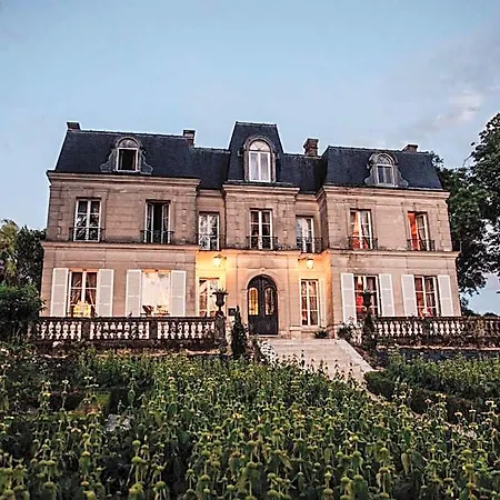 Chateau De Picheny 3*